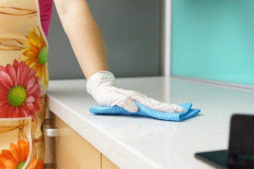 Carpet cleaning quote discussion for a Barnet home