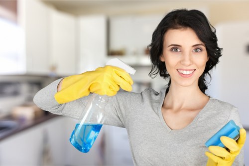 Barnet carpet cleaning service treating stains and dirt