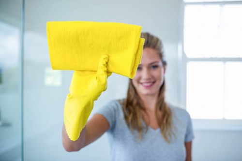 Inclusive online access statement for Barnet Carpet Cleaners
