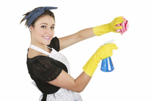 Upholstery stain removal and deep sofa cleaning in Barnet