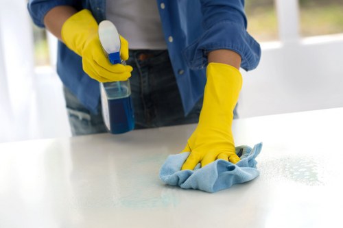 Carpet cleaning equipment used for home flooring